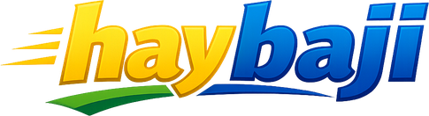 hay baji